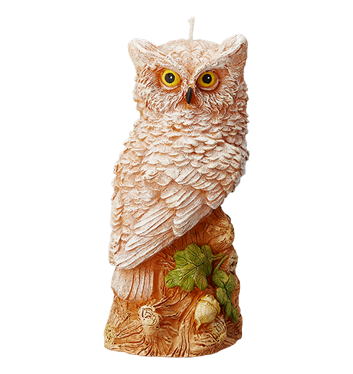 Owls of the UK Picture Art Pillar Candle Great Gift Idea Owls in Britain 